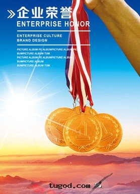 荣譽资質(zhì) (5)