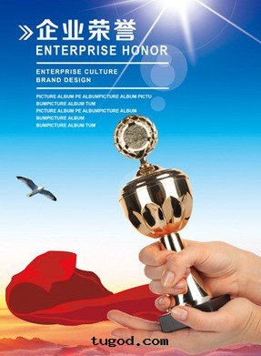 荣譽资質(zhì) (4)